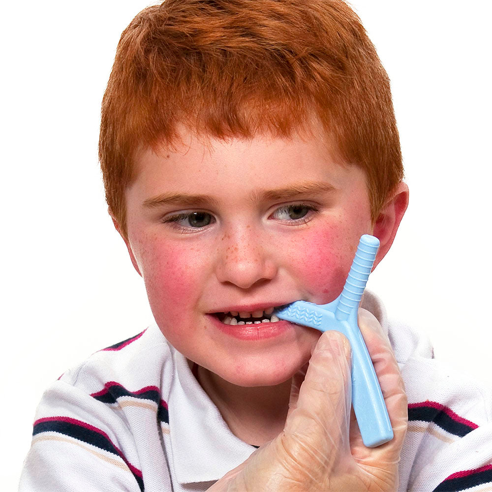 ARK&#39;s Y-Chew Oral Motor Chew